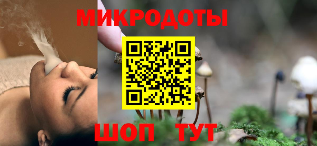 Галлюциногенные грибы Psilocybine cubensis  Вход с VPN  Ялта 